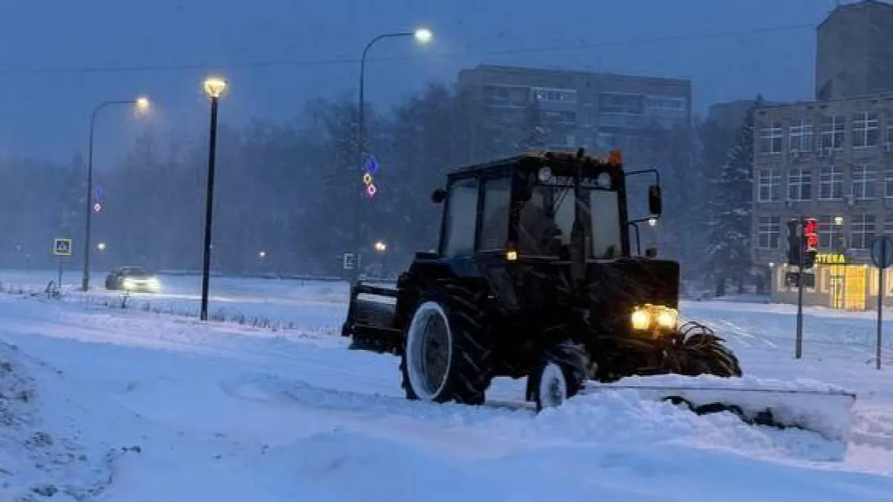 Фото: пресс-служба городского округа Черноголовка