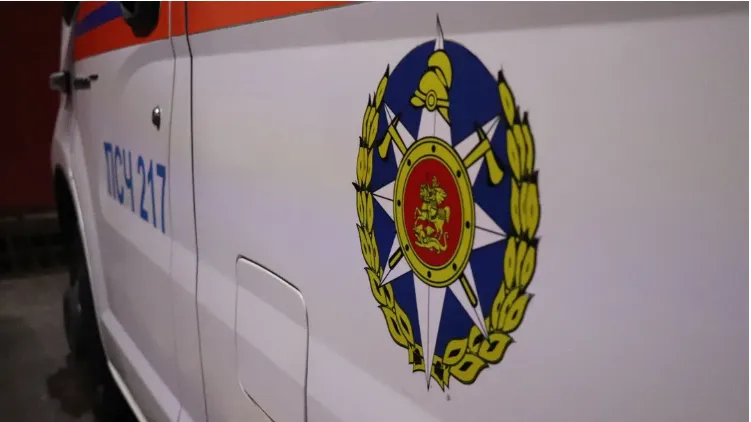 REGIONS/Василий Тремасов