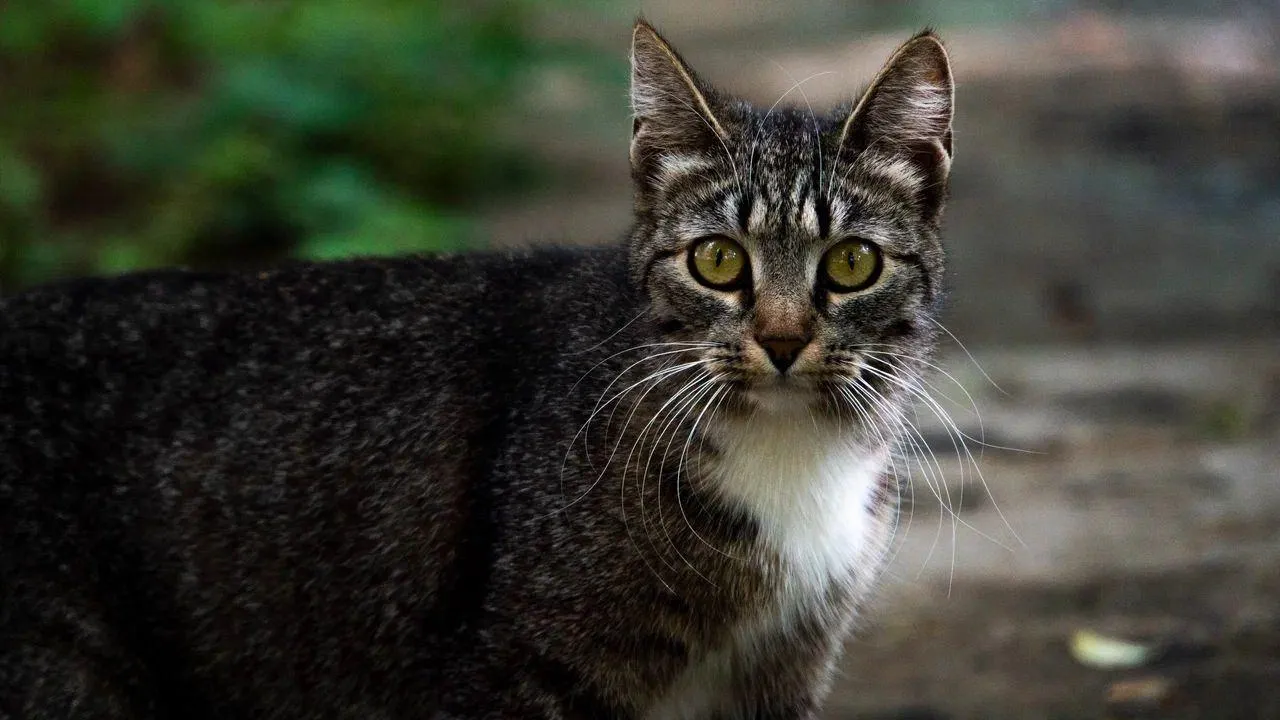 REGIONS/Наталия Надточая