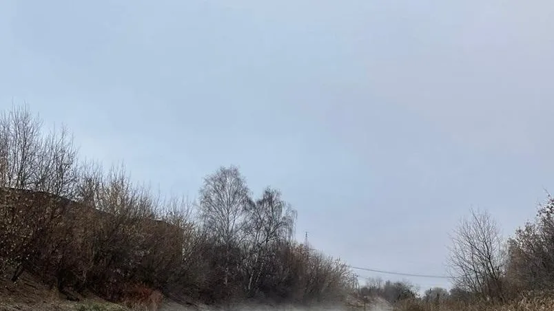 Фото: Минэкологии МО