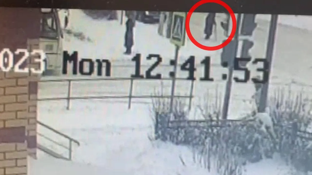 фото: скриншот