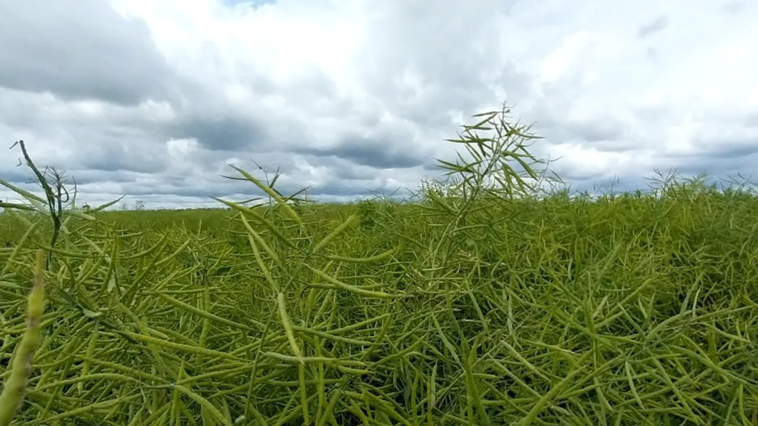 Фото: пресс-служба администрации м.о. Зарайск