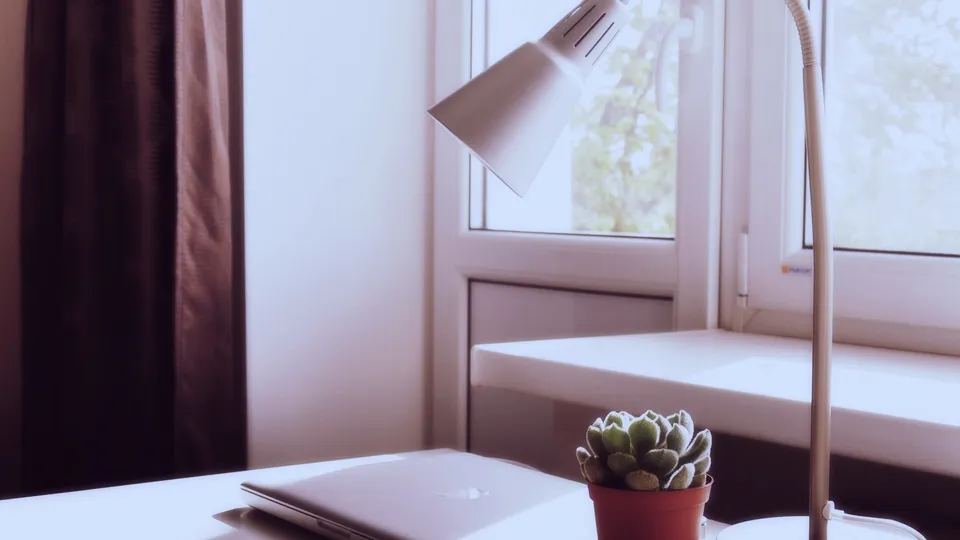 Фото: pxhere.com