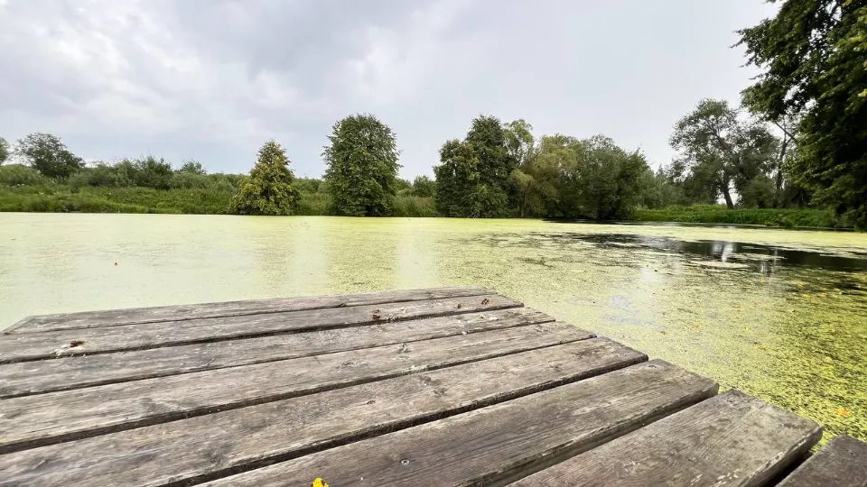 Фото: REGIONS/Елена Фурман