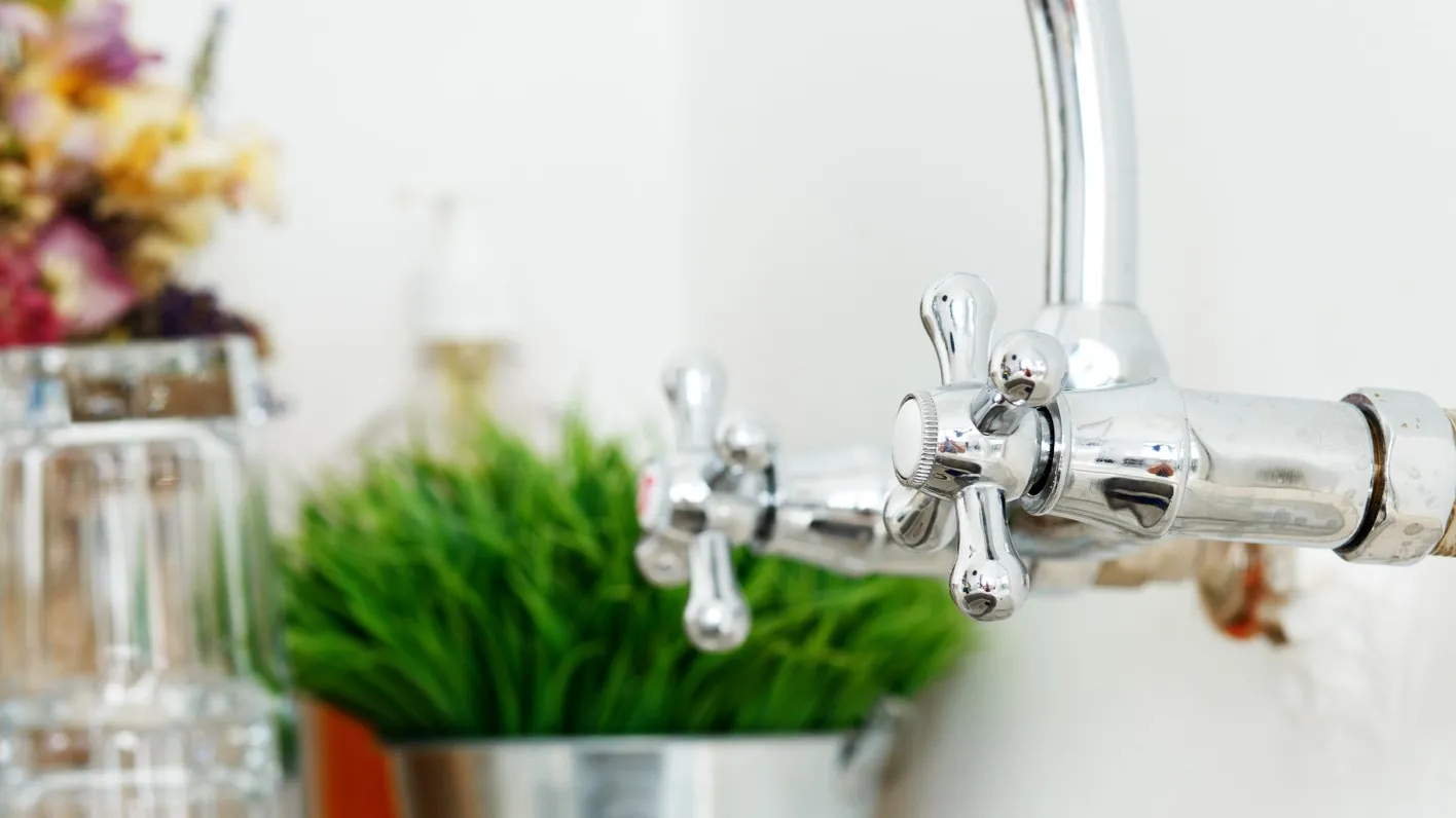 Фото: ru.freepik.com