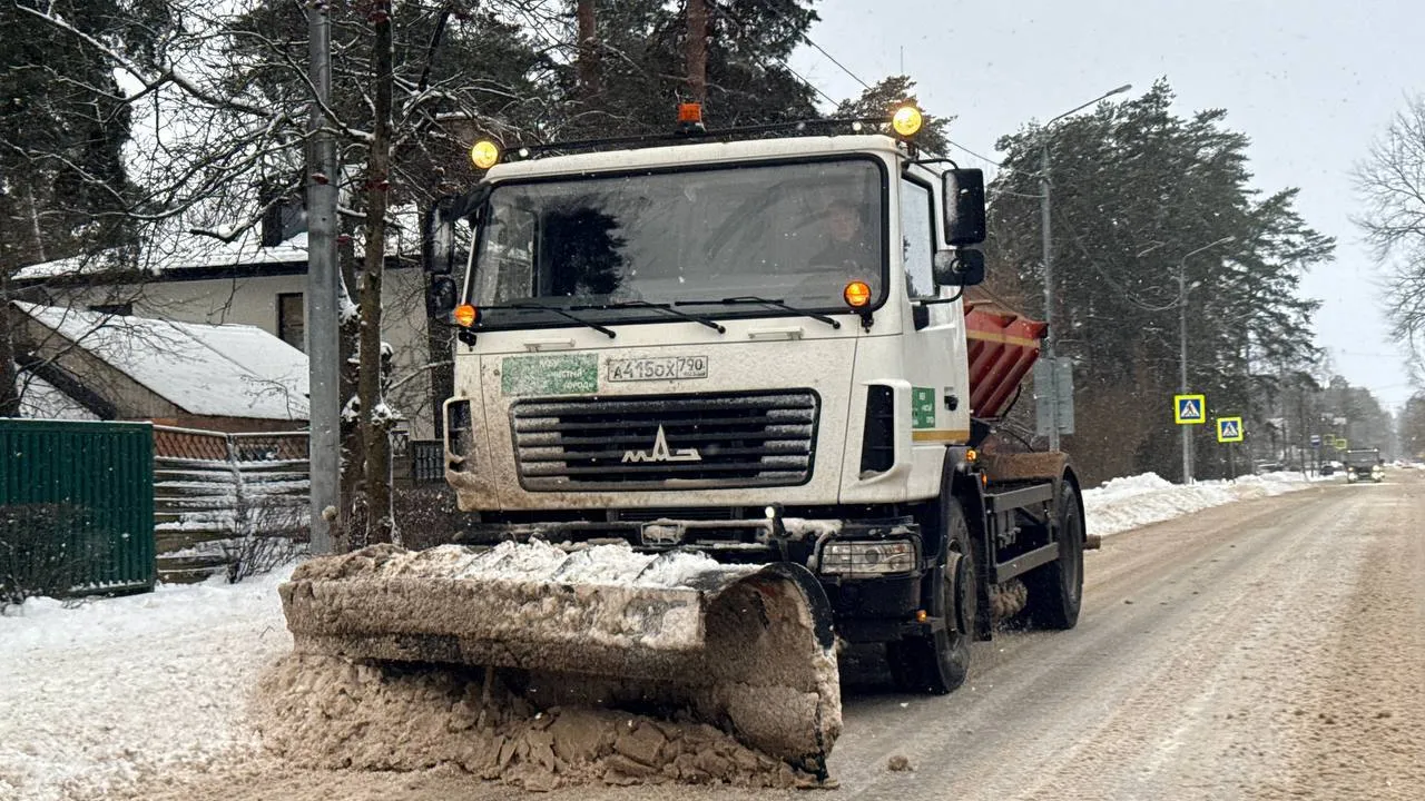 Фото: пресс-служба администрации г.о. Дубна