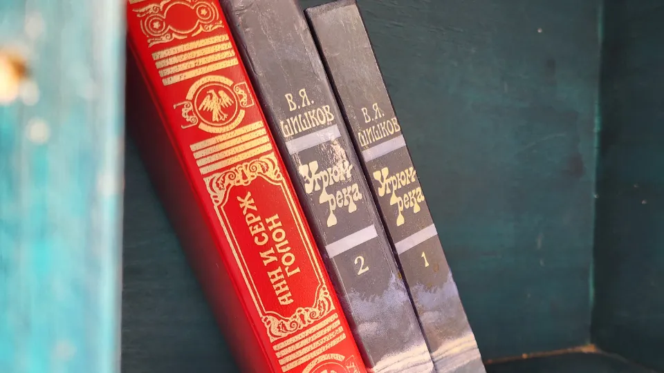 Фото: МедиаБанк Подмосковья/Мария Андрюхина