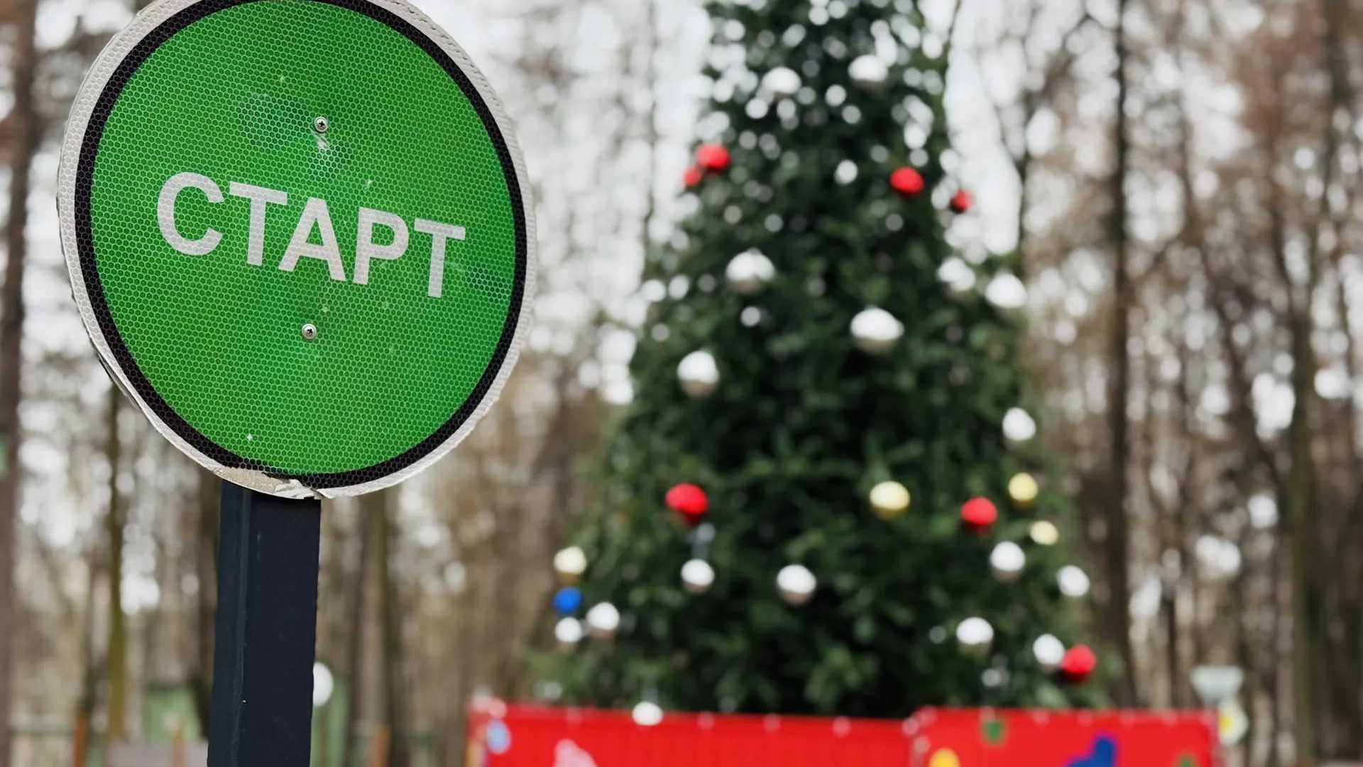 Фото: МедиаБанк Подмосковья/Ольга Стаферова