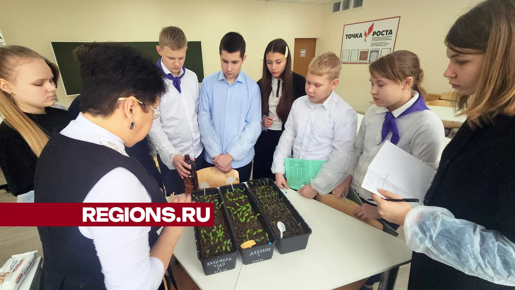 Фото: Андрей Семибратов