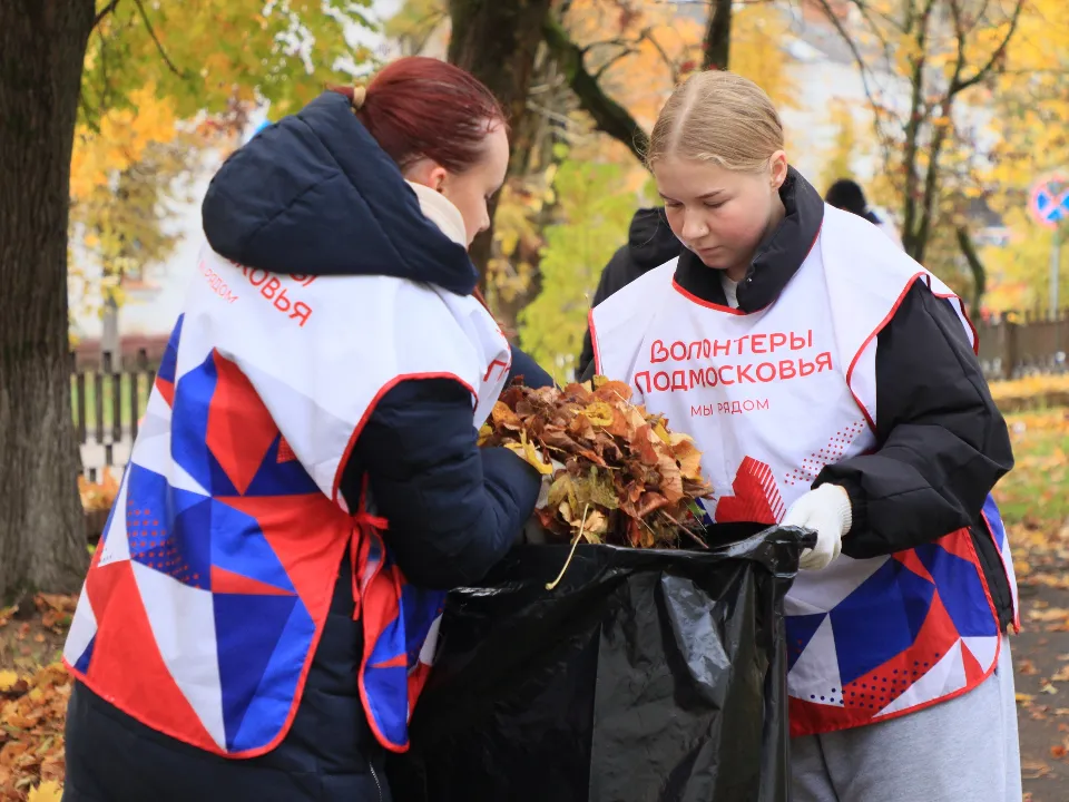 Фото:&nbsp;Волоколамский Ресурсный центр «Волонтеров Подмосковья»