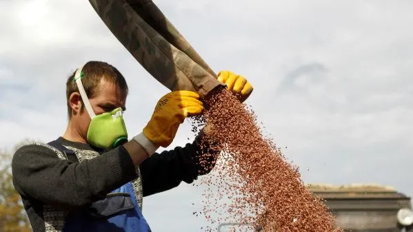Почти на 12% выросла посевная площадь сельскохозяйственных культур в МО в 2015 году 