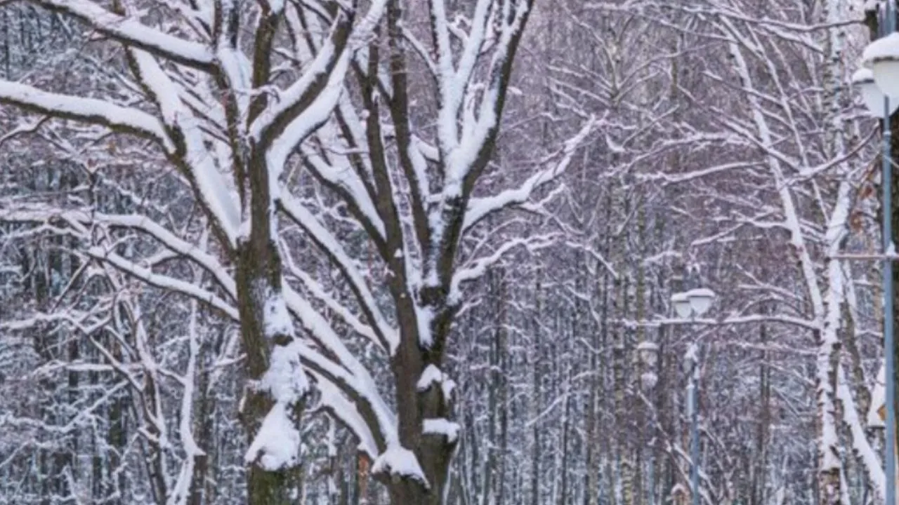 Фото: медиасток.рф