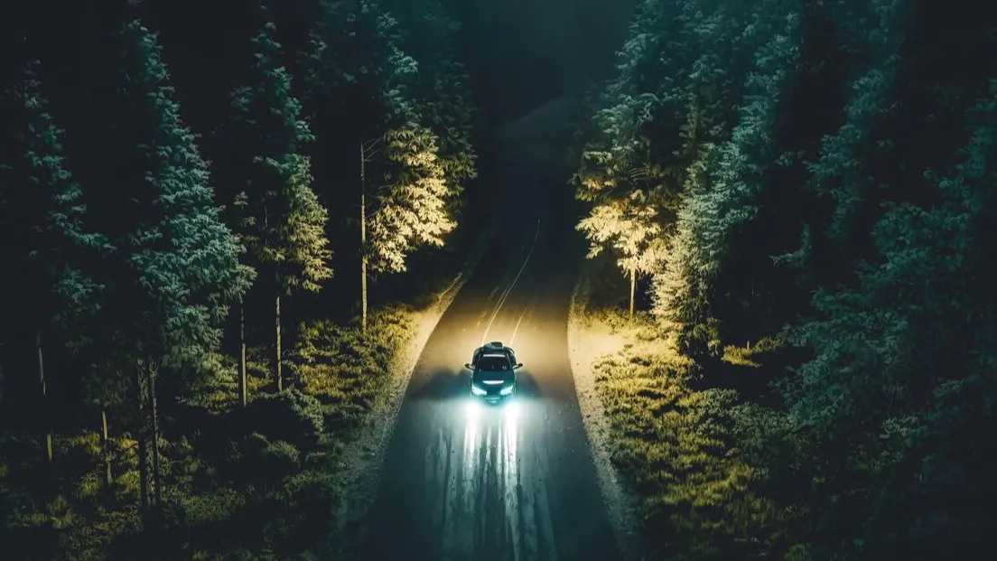 Фото: freepik.com