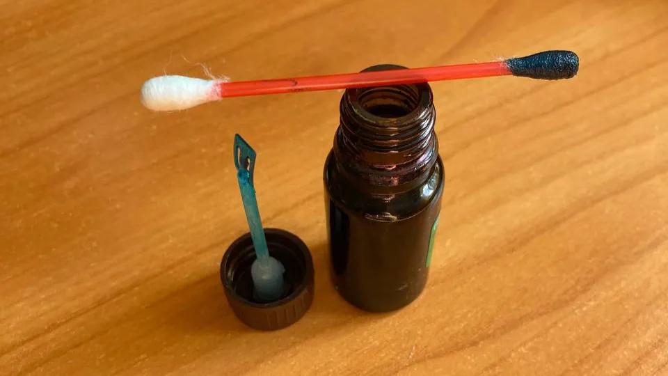 Фото: REGIONS/Мария Толстикова