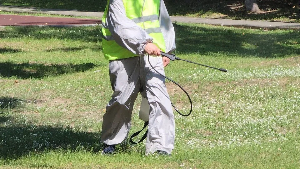 Фото: медиасток.рф