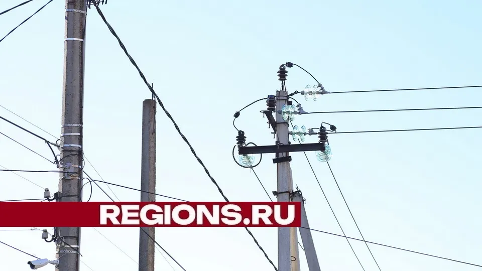 Фото: Александр Дрожжин