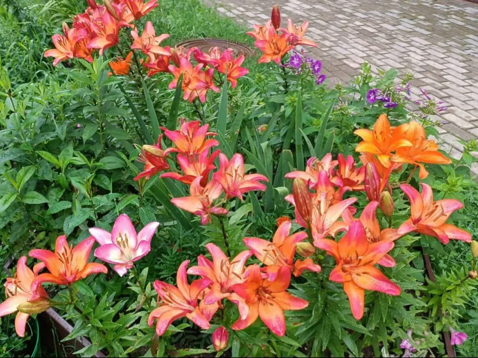 Фото: Министерство по содержанию территорий и государственному жилищному надзору МО