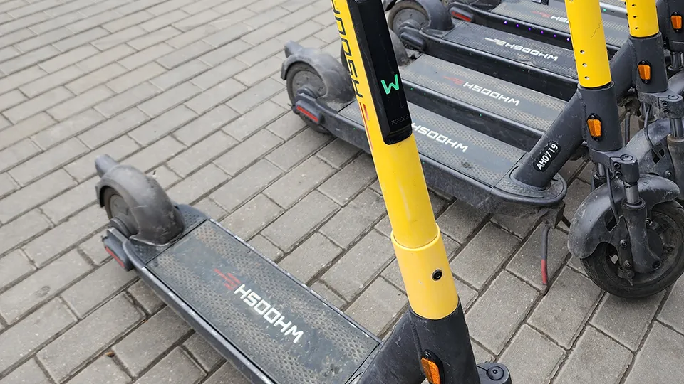 Фото: МедиаБанк Подмосковья/Нина Басистая