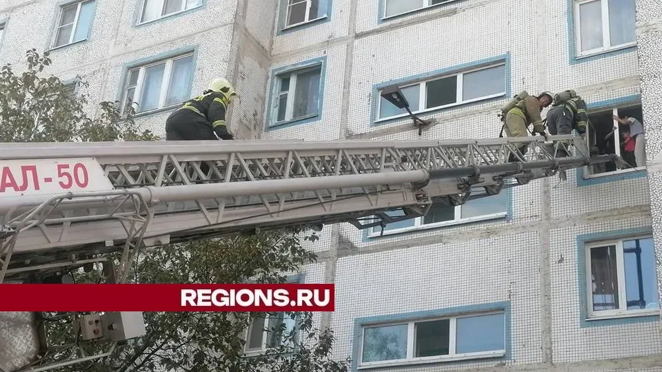 Фото: REGIONS/Александр Дрожжин