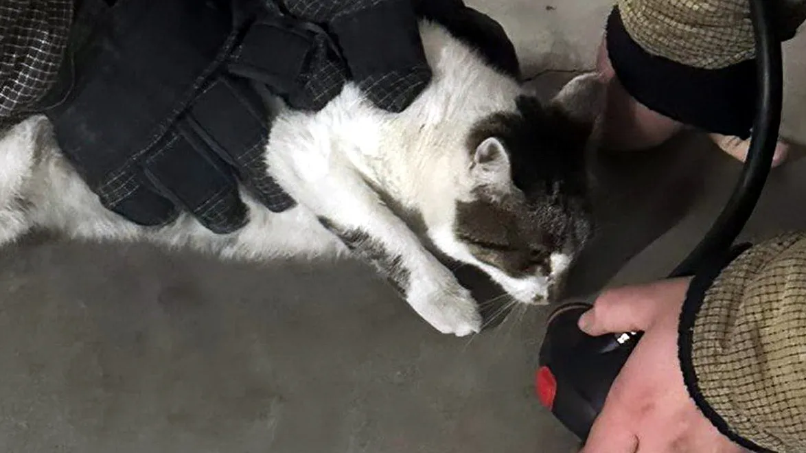 Фото: ГКУ МО «Мособлпожспас»