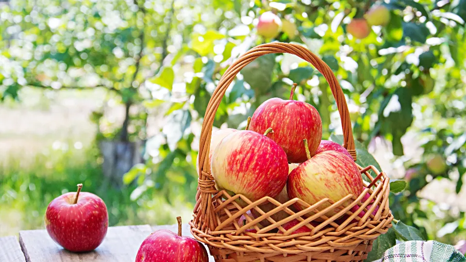 Фото: freepik.com