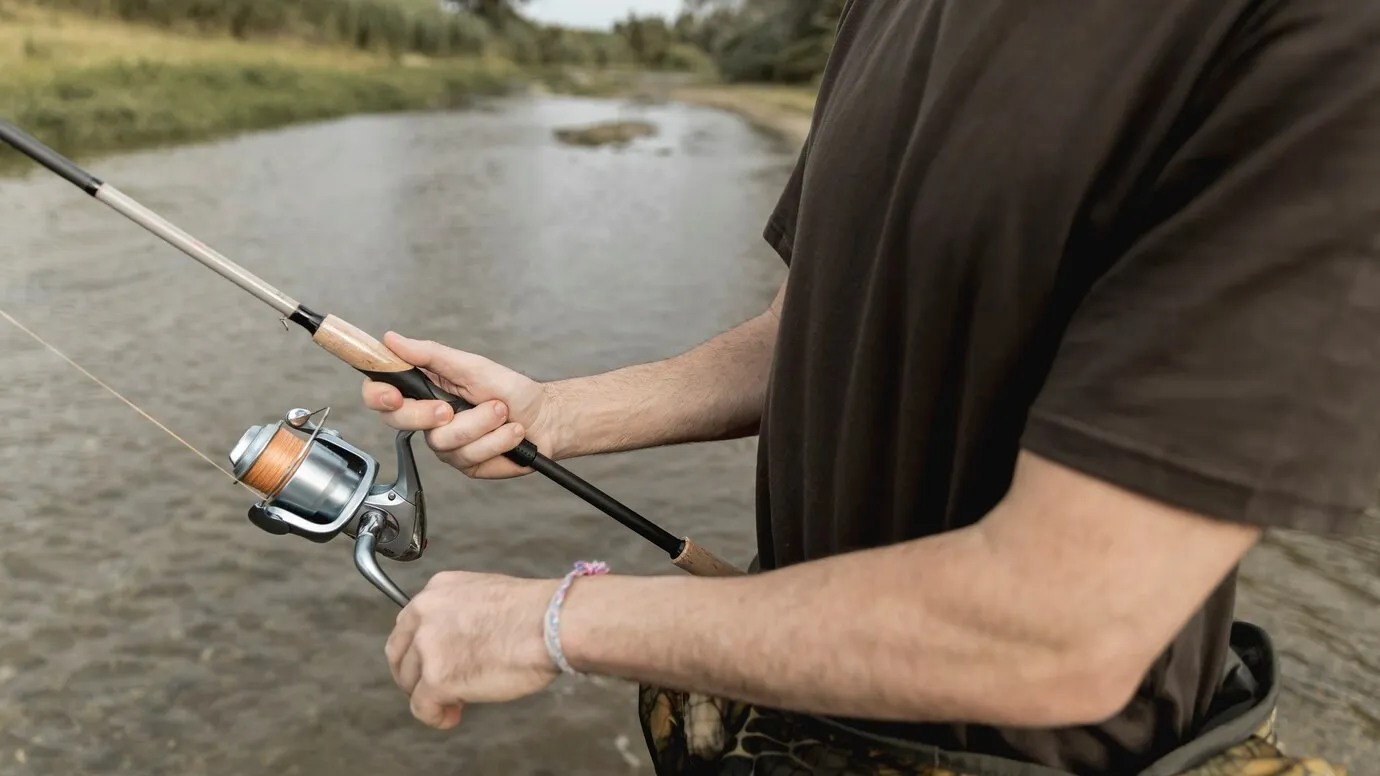 Фото: freepik.com