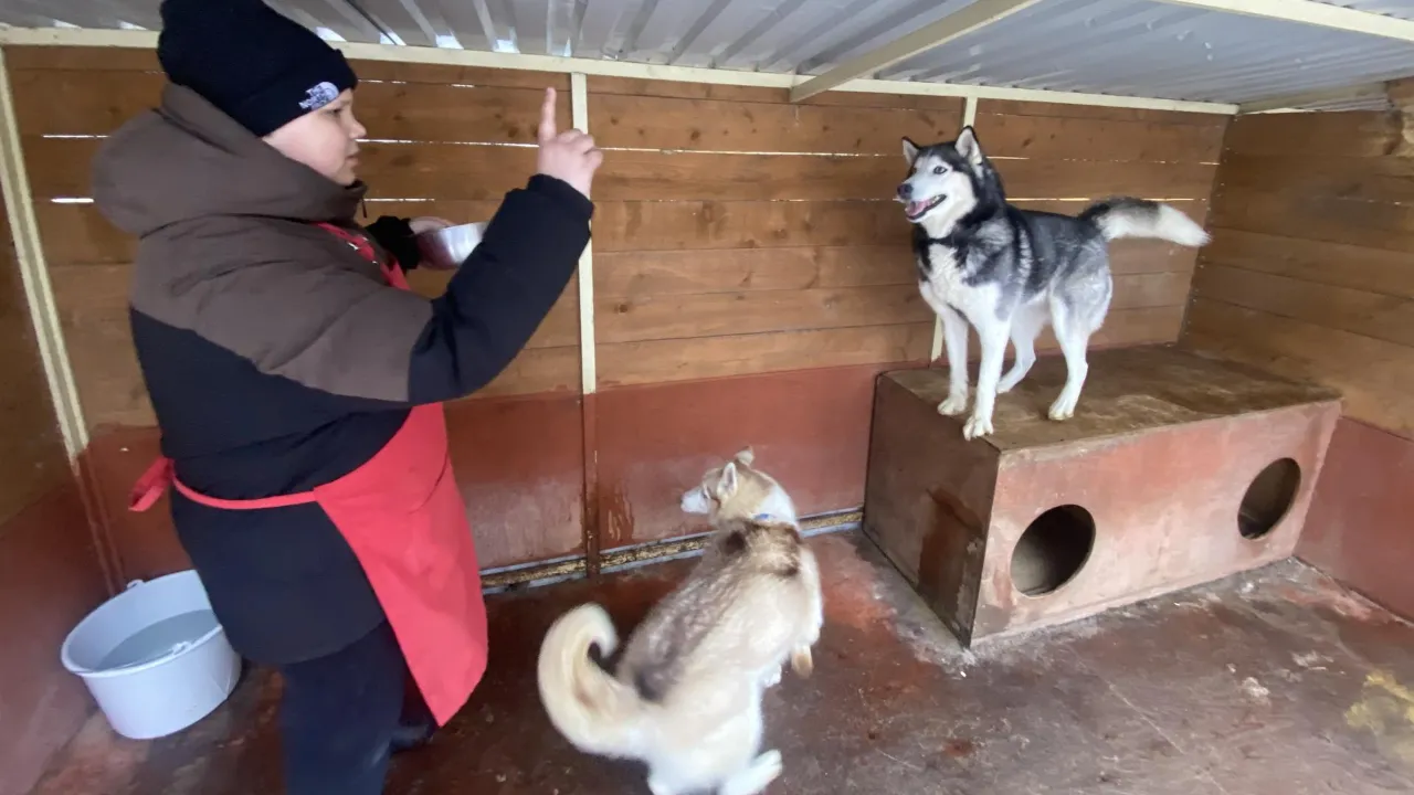 МедиаБанк Подмосковья/Анастасия Сараева