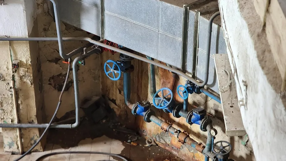 Фото: Роман Савельев