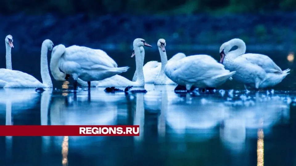 Фото: t.me/malakhovskoe_ozero