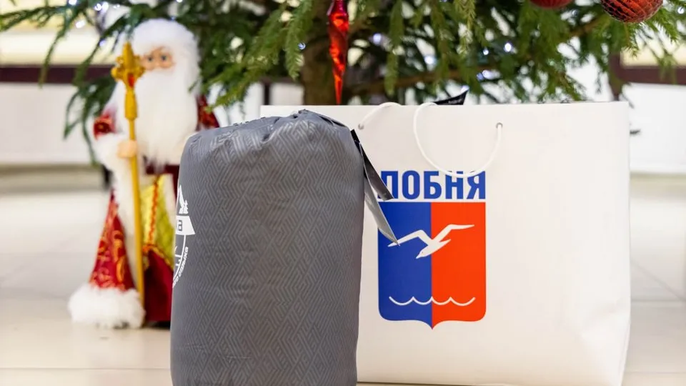 Фото: пресс-служба администрации г.о. Лобня