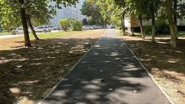 Фото: пресс-служба администрации г.о. Ступино