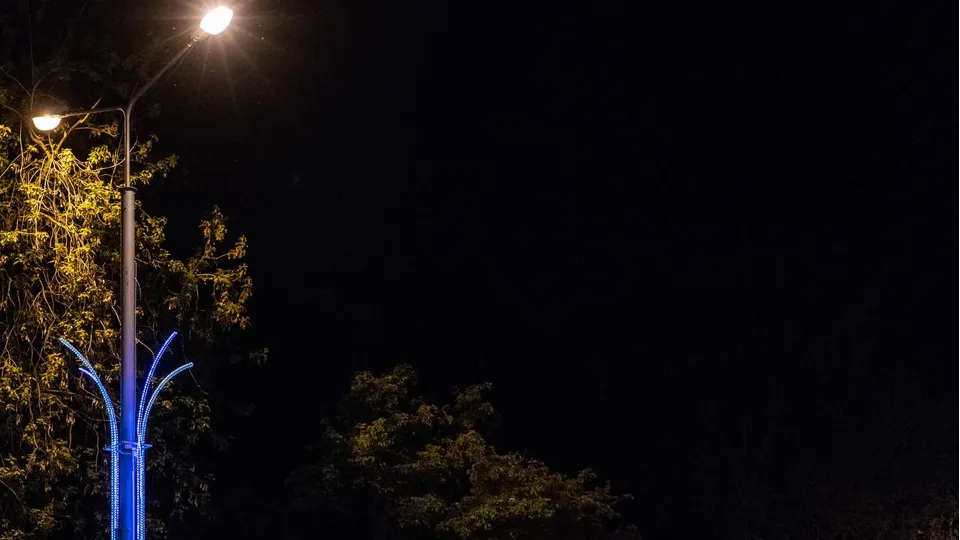 Фото: Александр Смирнов