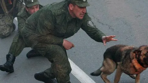 Виталий Аньков / РИА Новости