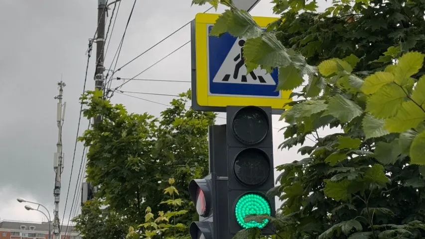 Фото: REGIONS/Мария Шматкова