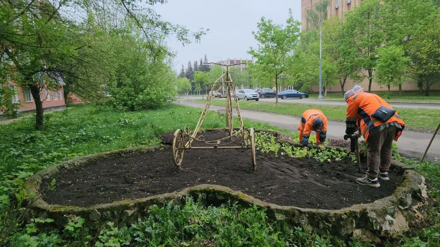 Картинка