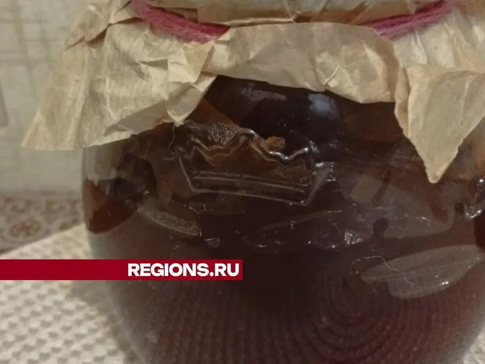 Фото: REGIONS/Наталья Широкая