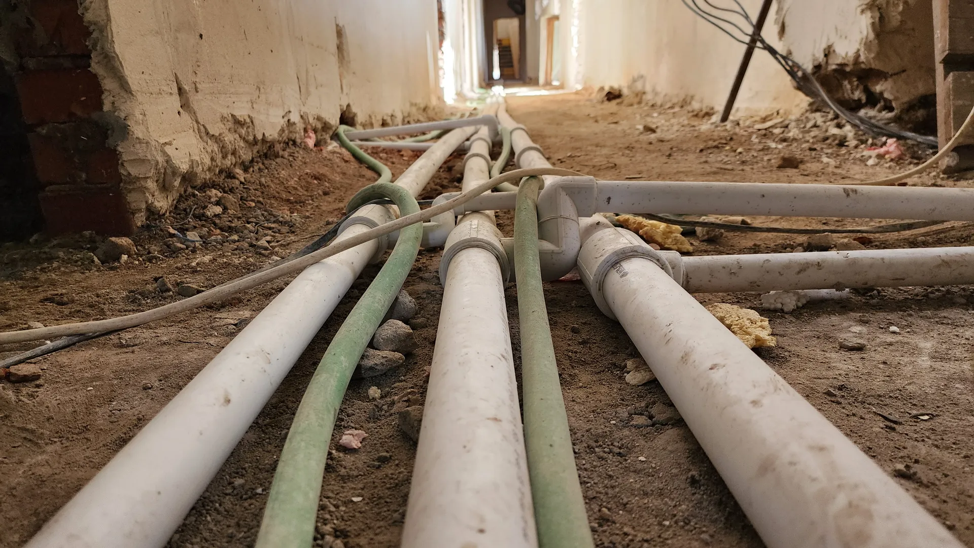 Фото: МедиаБанк Подмосковья/Екатерина Данилина