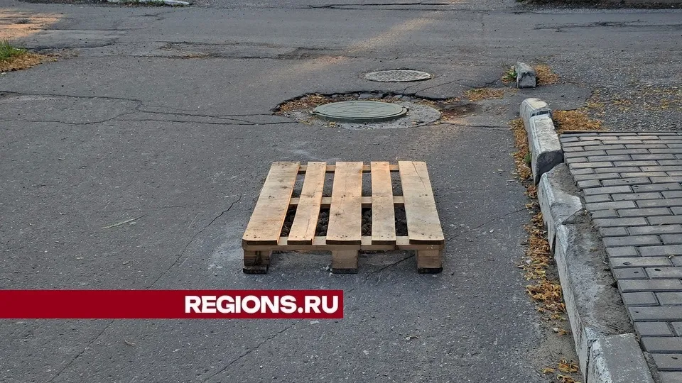 Фото: REGIONS/Александр Дрожжин