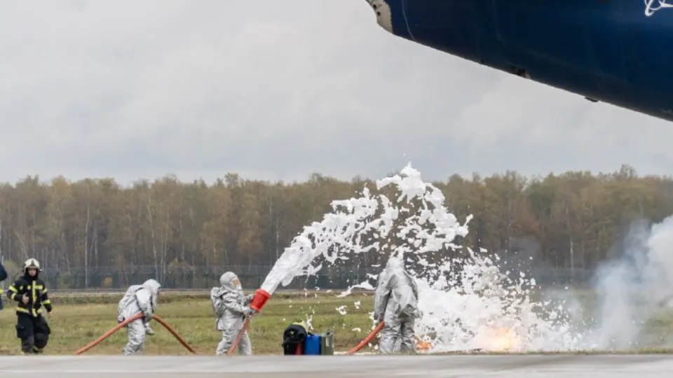 Фото: пресс-служба Московского аэропорта Домодедово