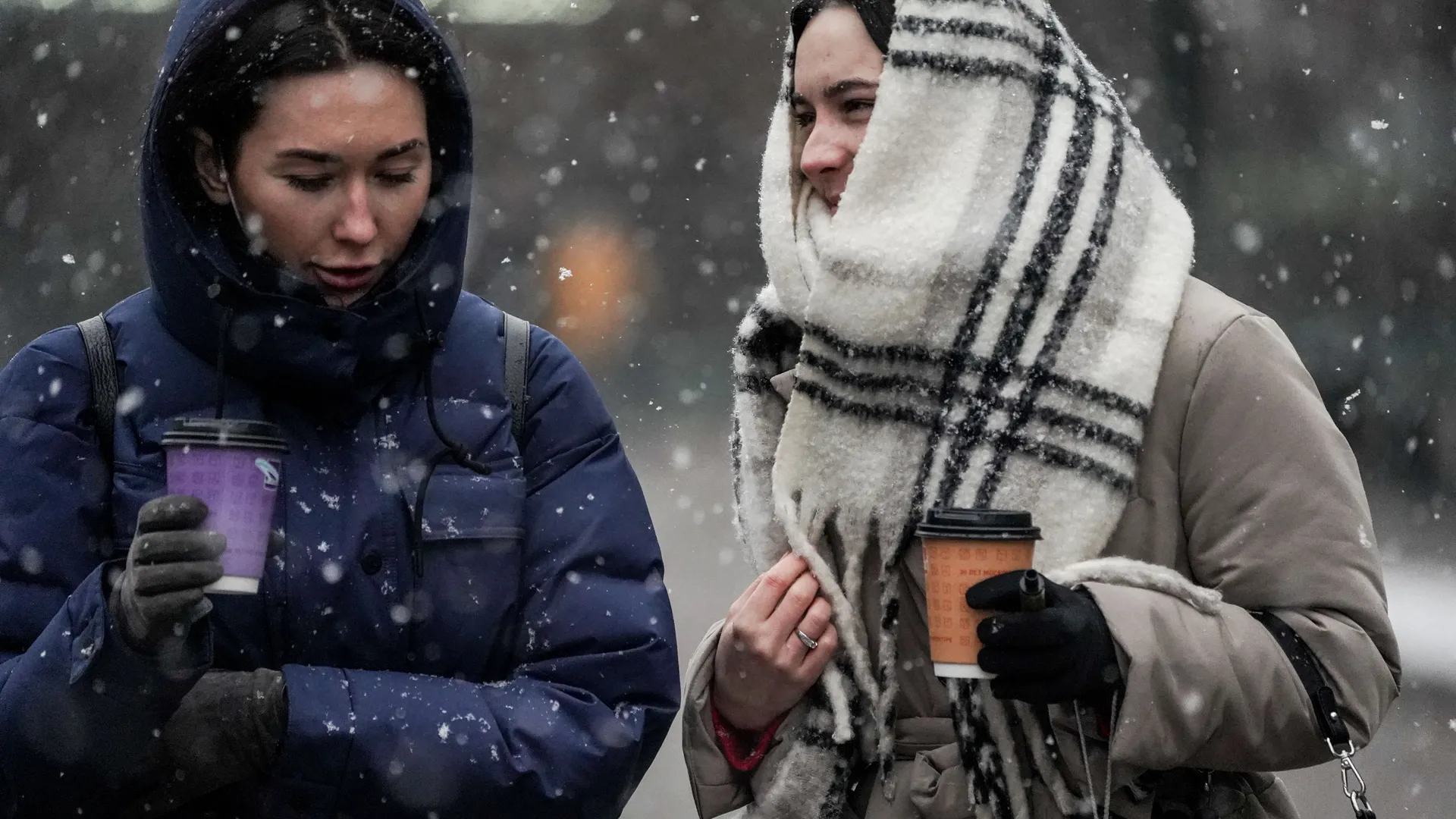 Фото: медиасток.рф