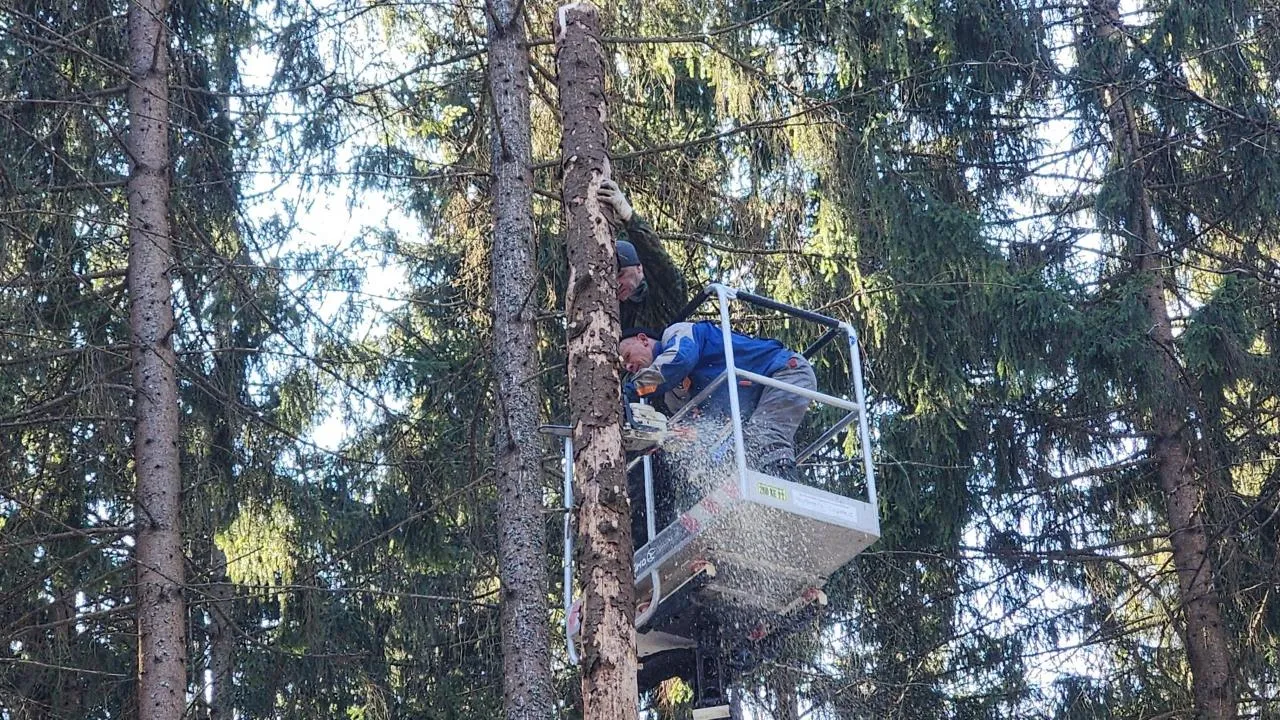 МедиаБанк Подмосковья/Дмитрий Беденко
