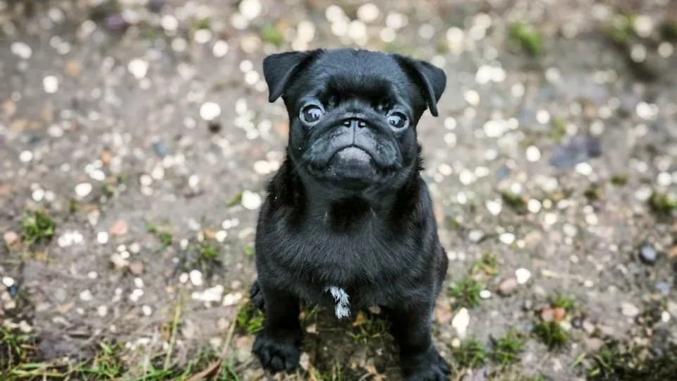 Фото: REGIONS/Роман Малышенко