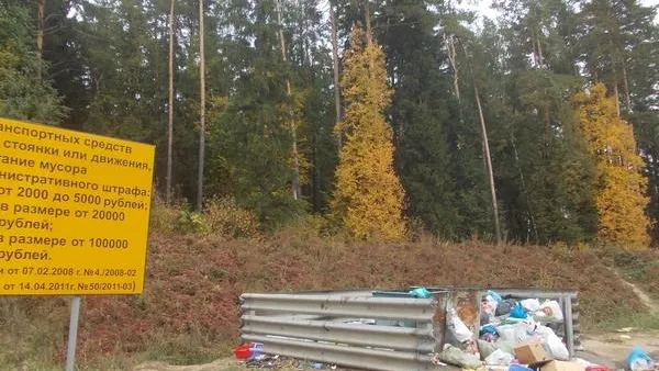 Витушева: в области нужно больше мусорных бункеров