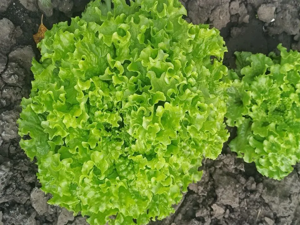 Фото: Эльвира Сафина