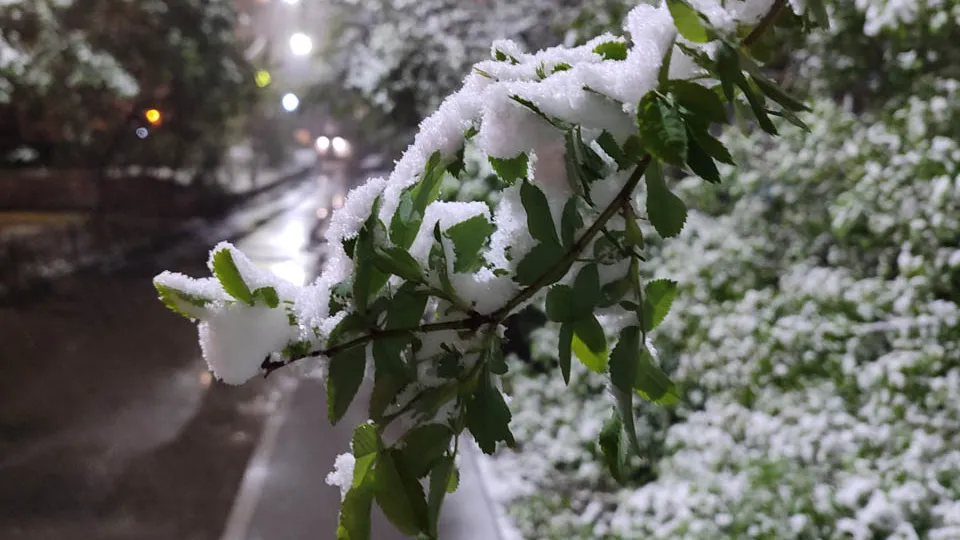 Фото: Дмитрий Кравцов