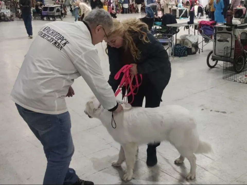 Фото: Министерство сельского хозяйства и продовольствия Московской области
