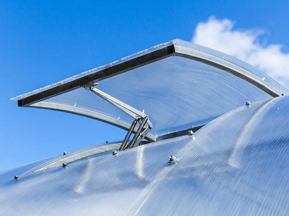 Фото: istockphoto.com