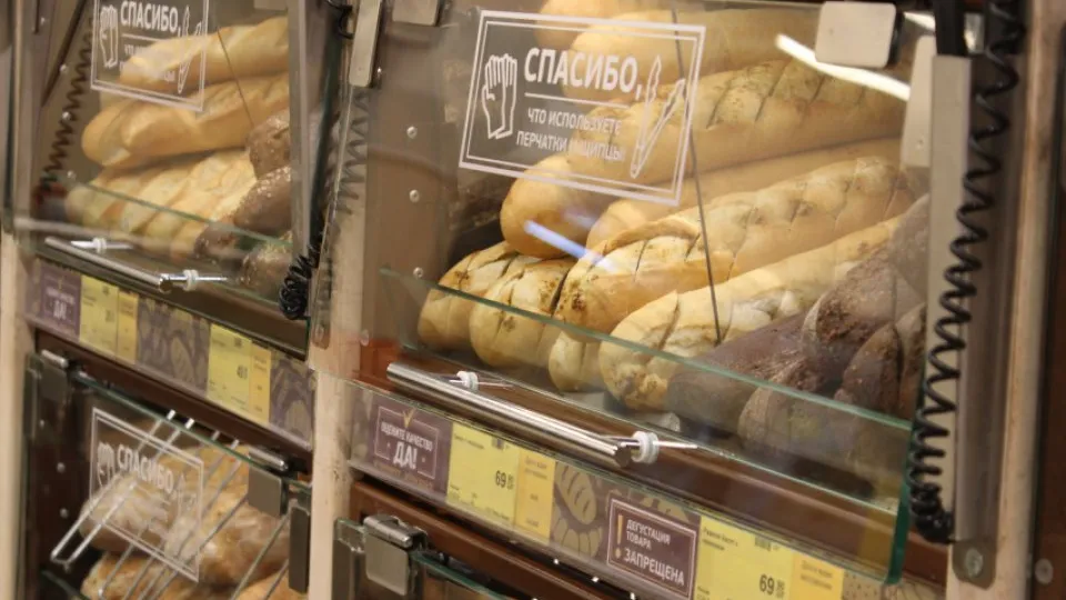 Фото: REGIONS/Анастасия Широкая