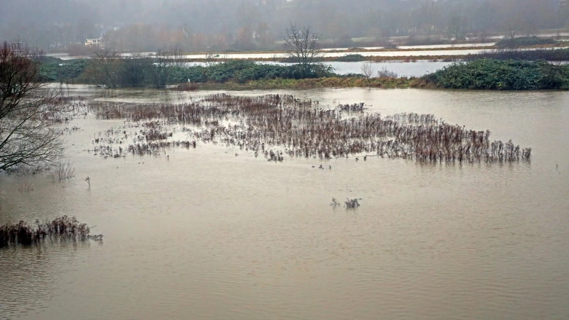 IMAGO/Gottfried Czepluch