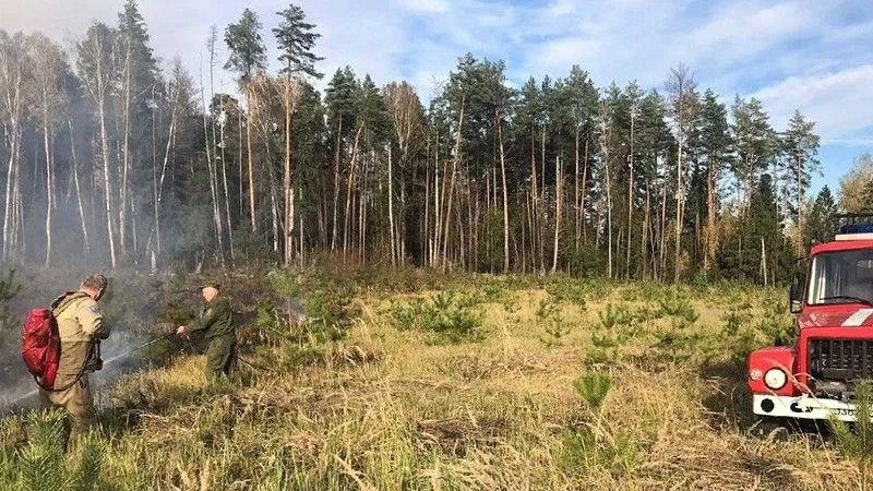 За выходные в Подмосковье ликвидирован один лесной пожар